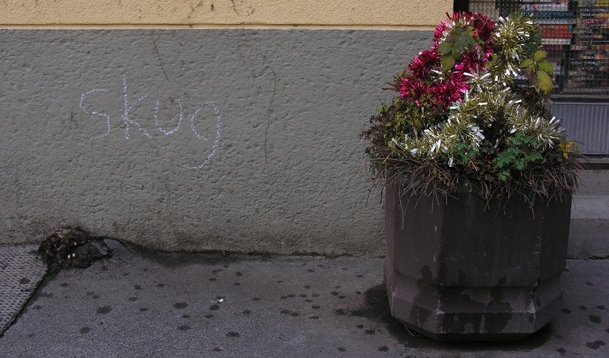 Make-over des Jahres: skug.at (Symbolbild) © Redaktion