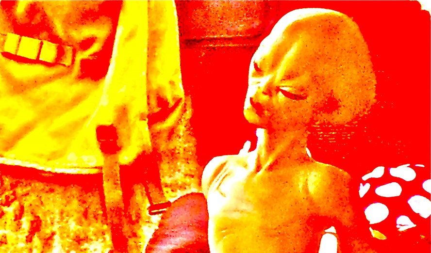 »Europa ist ein Gift« © Low Profiler