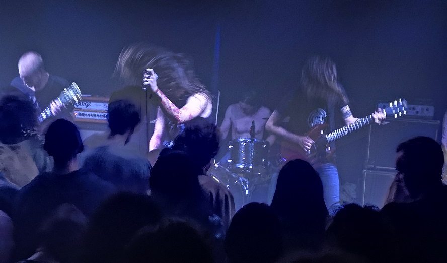 High Reeper © Alessandro Wessely