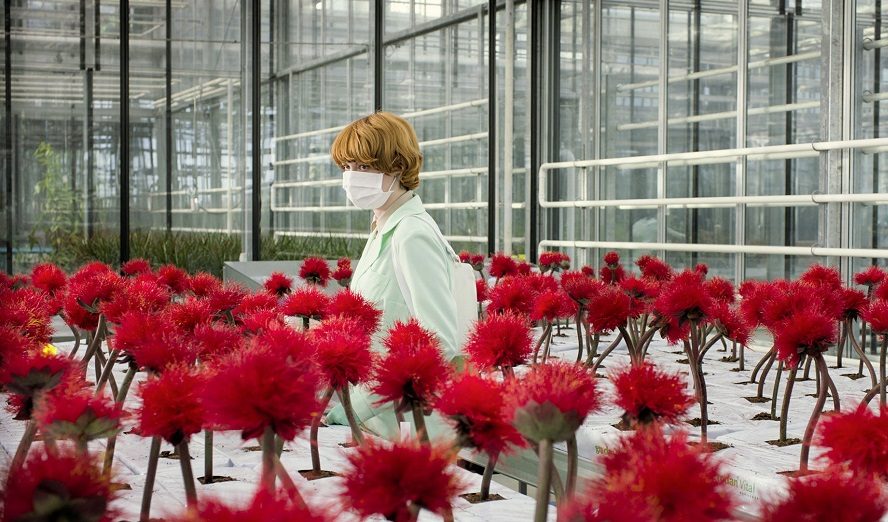 »Little Joe« © Viennale