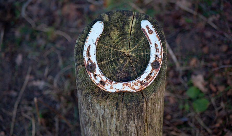 Photo by Mikael Seegen on Unsplash