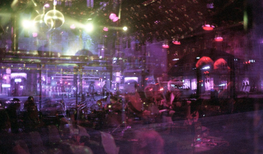 rhiz © Pia Reschberger