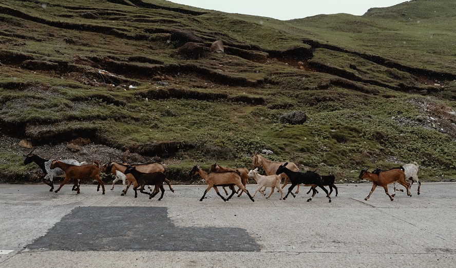 Photo by JC Gellidon on Unsplash