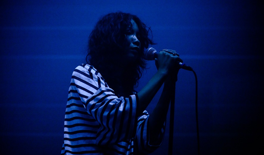 Dis Fig © David Visnjic