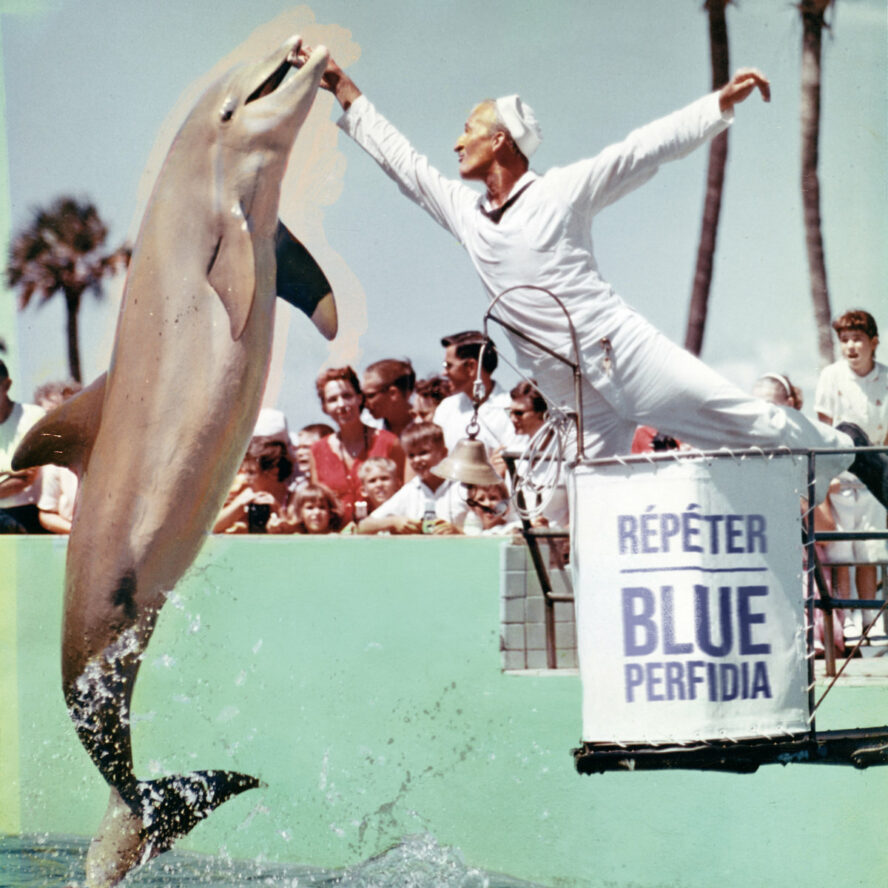 Répéter – Blue Perfidia