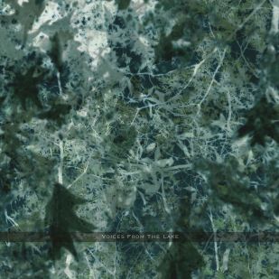 5898_voices-lake.jpg