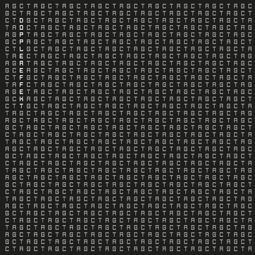 Dopplereffekt: »Tetrahymena«