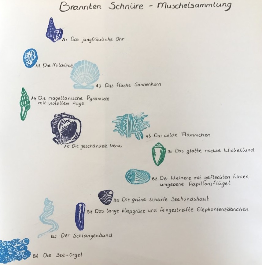 branntenmuschel.jpg