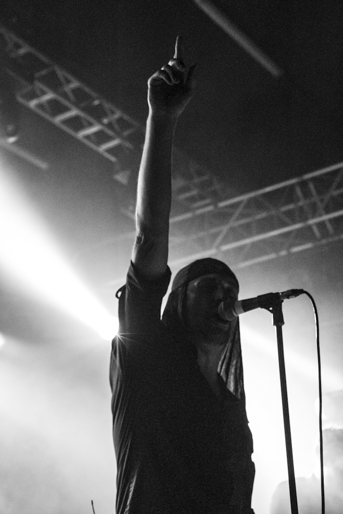 &copy; David Višnji