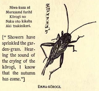 Emma_korogi.jpg