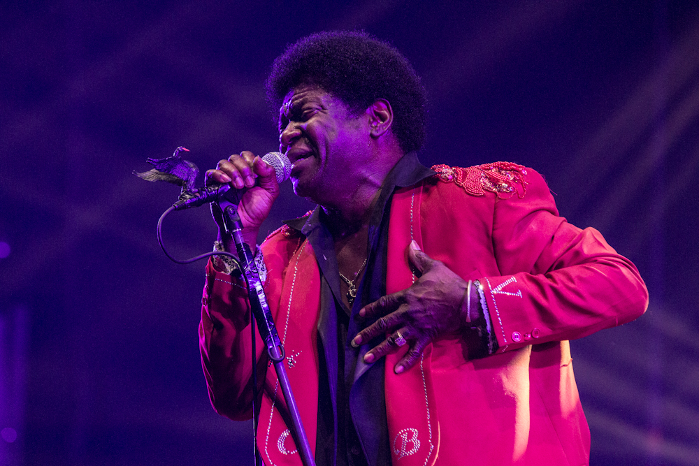 Charles Bradley &copy; David Višnji?
