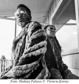 Shabazz_Palaces_by__Victoria_Kovios_2.jpg