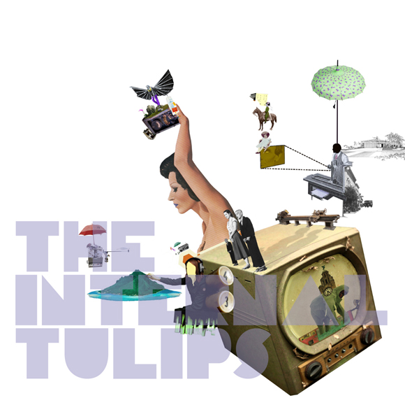 tulips.jpg
