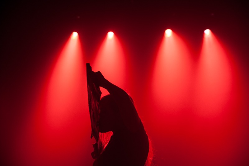 alle Fotos (c) david visnjic